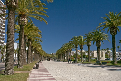Paseo marítimo de Salou con filas de palmeras a los lados