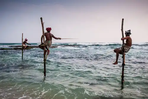 Pescadores subidos en palos de madera